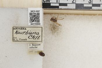 Media type: image;   Entomology 770900 Aspect: Labels